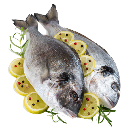 Fresh Fish