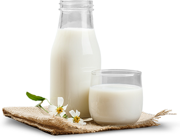 Dairy Products